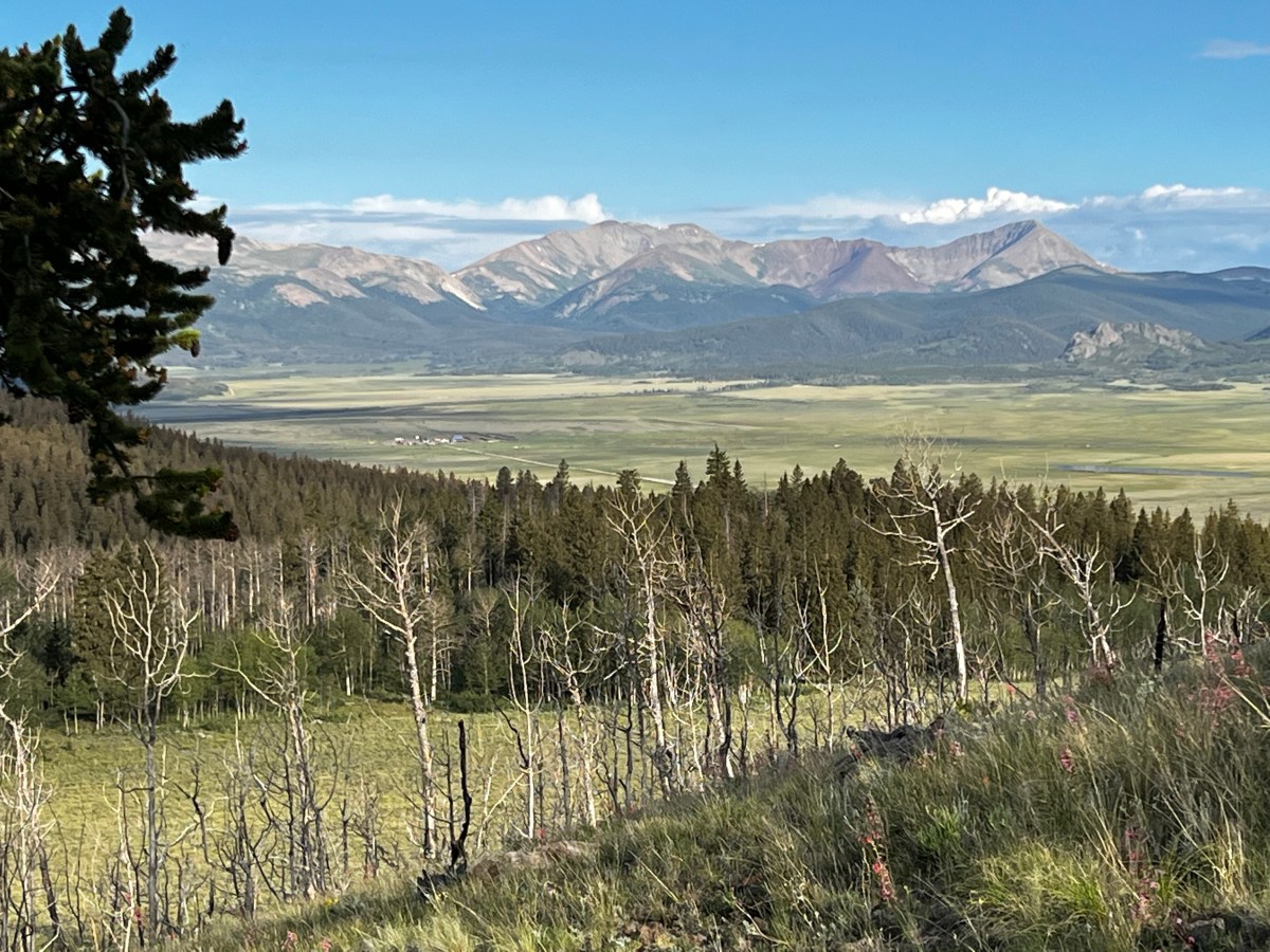 Colorado Trail 6 – Sweet, sweet&nbsp;lemonade